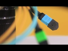 Sản xuất trực tiếp Multimode MPO Fiber Optic Patch Cord Indoor Fiber Optic Patch Cord MPO MTP Patch