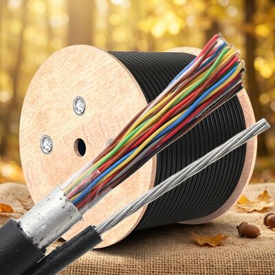 Cat3 OUTDOOR Telephone Cable with steel wire 100pair 200pairs 50 Pair 